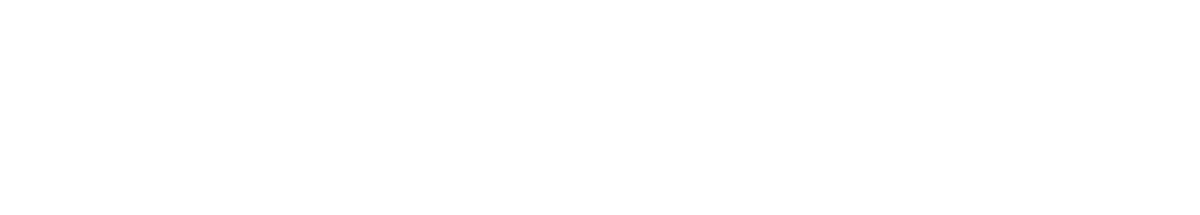 Next Stop Travels Logo